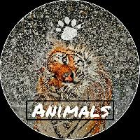 Animals 🐾