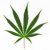 BenderShop - все что скрыто!