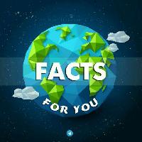 Интересные Факты
