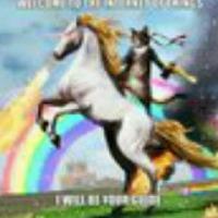 Айва Шоп Бот