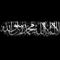 Арабская Весна