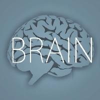 brain - новости из мира нейрофизиологии, нейробиологии