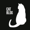Блог кота