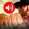 Chuck Norris Fact Transformer 