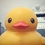 Уточка Клэми