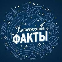 Интересные факты 🤔