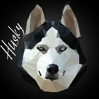 Фанат Хаски