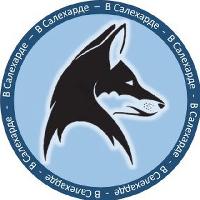 В Салехарде