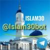 Бот Islam30.ru