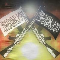 Новости Фронтов