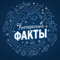 Интересные факты