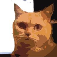 Чат-бот от котана