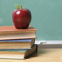 Записки начинающего учителя