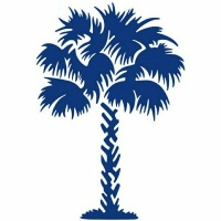 Palm 🌴