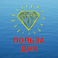 Польза дня