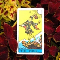 Everyday Tarot