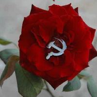 простая разнорабочая