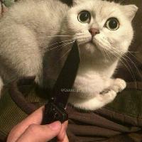 Безумие💔🍃