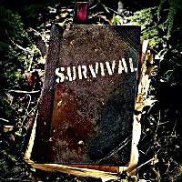 survival_bot