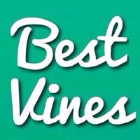 The best vines