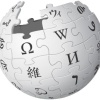 Wikipedia Search