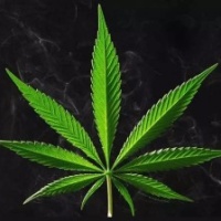 Клады в касание Youdrug